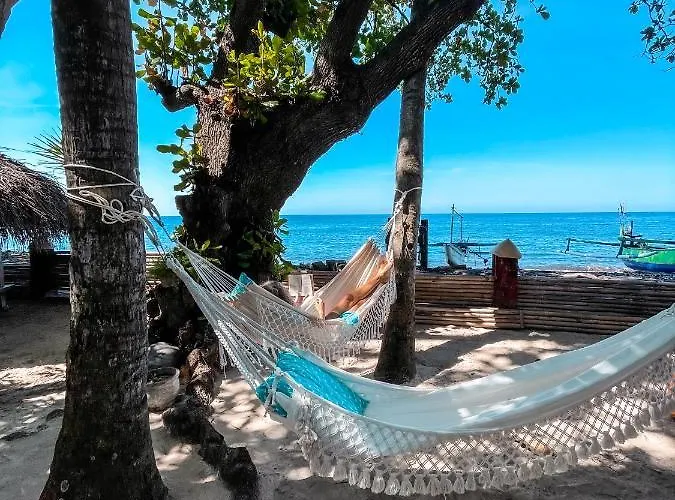 Cili Emas Oceanside