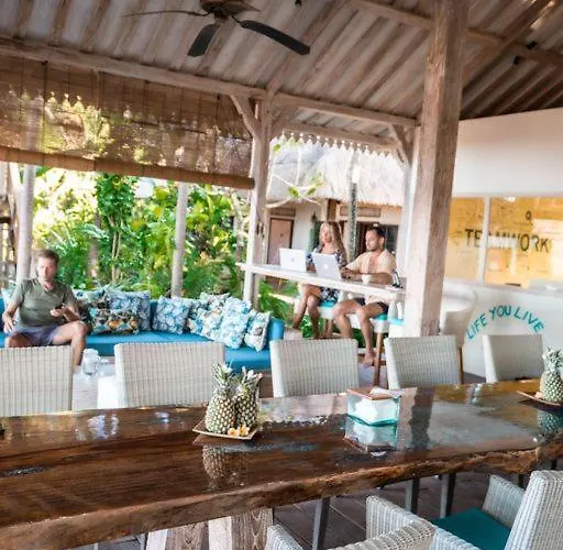Cili Emas Oceanside