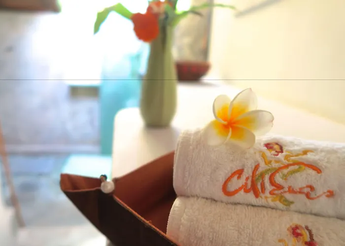 Cili Emas Oceanside 3* Tejakula